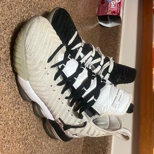 Lebron EQUALITY shoes